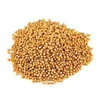 KHADA SARSON 100G