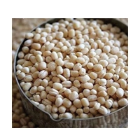 KHADI URAD 500G