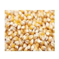 POPCORN MAKKA 500G