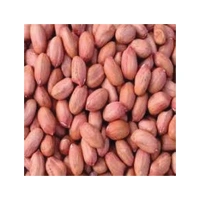 PHALI DANA PREMIUM 500G