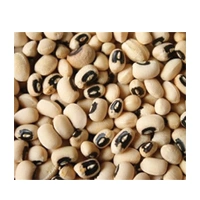 BARBATI PREMIUM 1KG