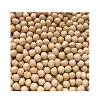MATER WHITE 500G