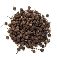 KABAB CHINI 25G