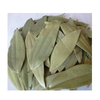 TEJ PATTA 50G