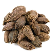 BADI ELAICHEE 100G