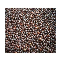 MOTI RAI 200G
