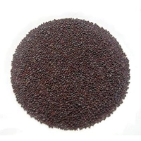 BARIK RAI 200G
