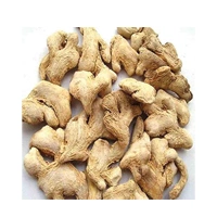 SOUNTH 50G