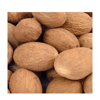 JAIPHAL 20G