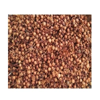 NAG KESAR 20G