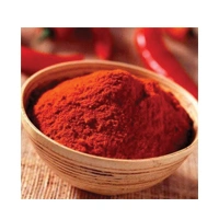 MIRCH POWDER 500G