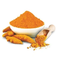 HALDI POWDER 500G