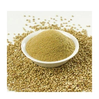 DHANIYA POWDER 500G