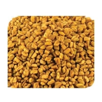 METHI DANA 100G