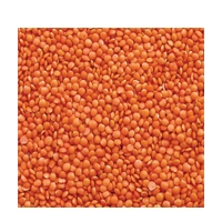 MALKA MASOOR 1KG