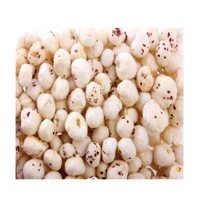 MAKHANA 100G