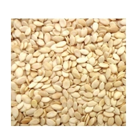 TARBUJ MAGAZ 250G