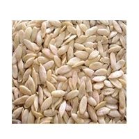 KHARBUZ MAGAZ 100G