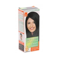 GARNIER HAIR COLOR SMALL 1NATURAL BLACK