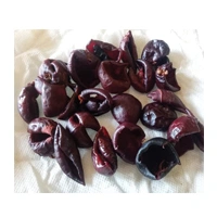 KOKUM